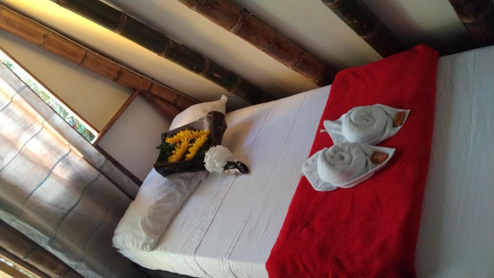 Hostal Bremen Jq Filandia Dış mekan fotoğraf